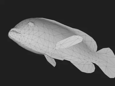 Fish Grouper Low-poly 3D model purchase