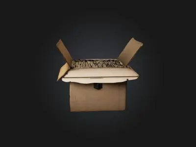 Realistic Filing Box Model Low-poly 3D model
