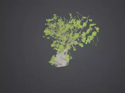 Great Spirit Oak with Shrine  Fantasy Tree Botanical Designs  Low-poly 3D model