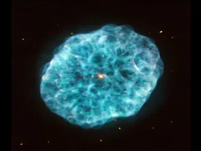 Oyster Nebula 3D model