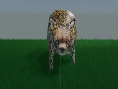 Cheetah Animated Rigged Low Poly Low-poly 3D model