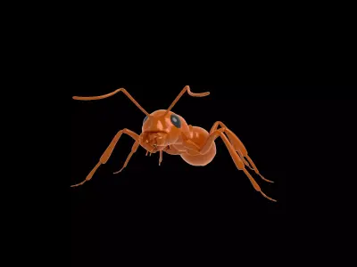 Ant Rig 3D model
