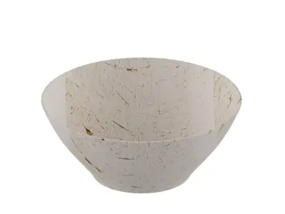 Bowl in White Pattren 3D model