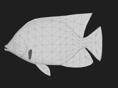 Butterflyfish Low-poly 3D model 2