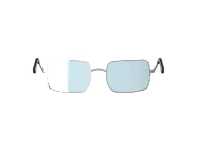 Tint Sunglasses 3D model