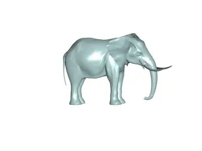 elephant 3D model get
