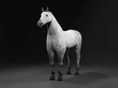 Horse 3D model order