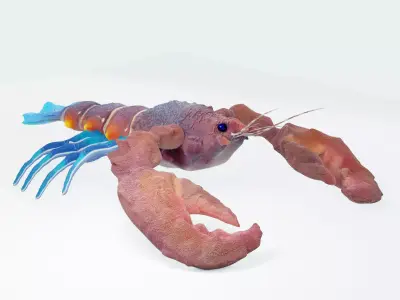 Atlantic colorful Lobster rigged 3D Model 3D model