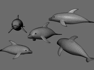 Low Poly - Cartoon Dolphin 2 Rigged  Low-poly 3D model