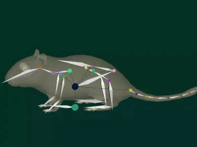 Mongolian Gerbil Rat Rodent Free low-poly 3D model