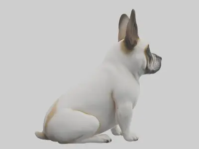 Sitting French Bulldog model Low-poly 3D model