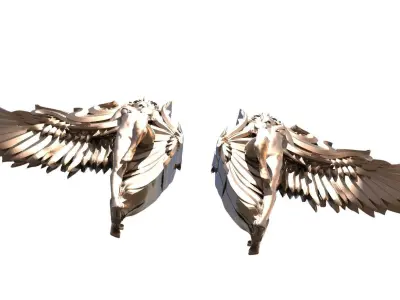 Angel Anatomy Sculptured Wings 2  3D model