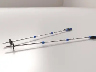 Ski Poles 3D model