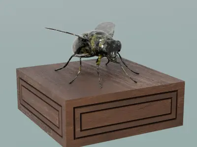 House Decoration Fly Bug Statue Low-poly 3D model