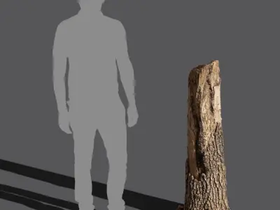  Tall Broken Conifer Stump Model 