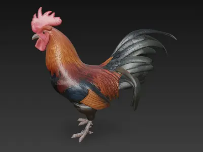 Black Rooster 3D Model Basic - Low Poly Simple Low-poly 3D model
