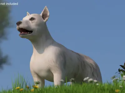  Mongrel Dog Cream Rigged 