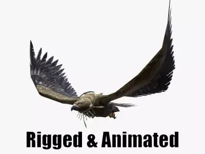low-poly animated eagle with necklace Low-poly 3D model