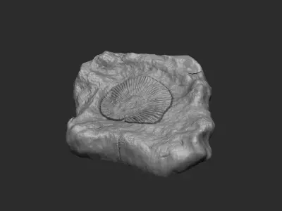 Ammonite Mineral Fossile - Realistic Printable and Keychain 3D print model