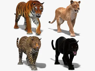 Big Cats Animated 3D model