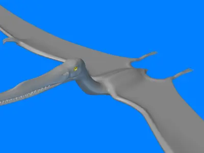 Gnathosaurus dinosaur flying 3D model