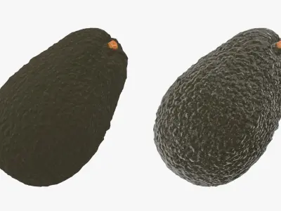 Ripe Avocado Collection 2 3D model