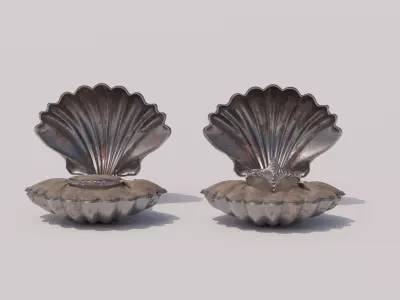 Rustic Bracelets Collection - Seashell Jewelry Box  Low-poly 3D model
