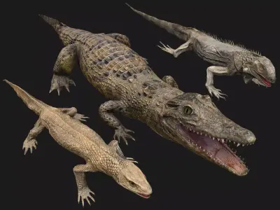 Reptile Crocodile Varan Iguana Low-poly 3D model