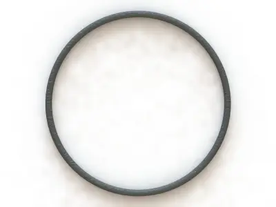 O Ring Vedabras 12459 3D model