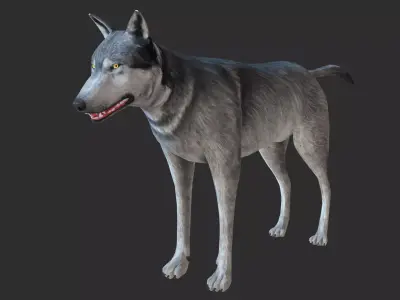 Wolf 3d model Low-poly 3D model
