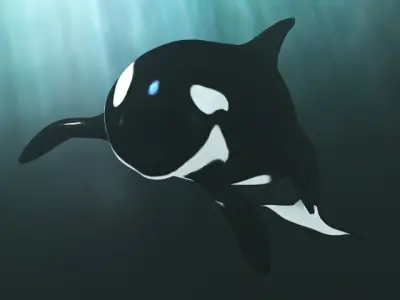 Killer whale 3D model get