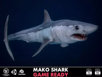 Mako Shark Low-poly 3D model purchase