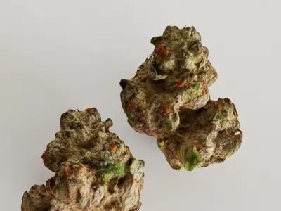 Realistic Cannabis Bud 02 3D model