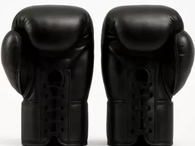 Professional Lace Up Black Leather Boxing Gloves 3D model
