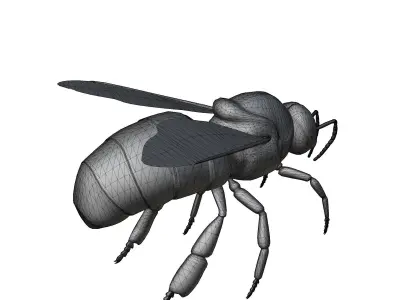 Animated bee Low-poly 3D model get