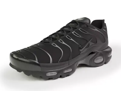 Nike Air Max Plus Black Shoe 3D model