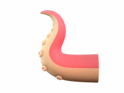 Octopus Tentacle 3D model