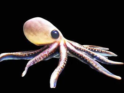 Cute little Octopus 3D model