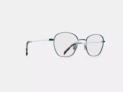 Robbie Eyeglasses in Antique Silver 3D model