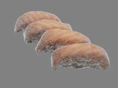 Scanned salmon sushi pieces 3D model