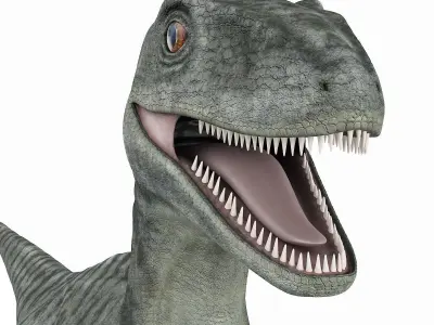 Velociraptor t - rex 3D model