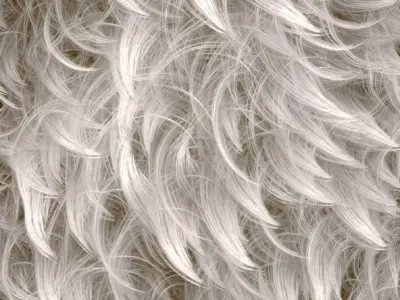 Fur Substance Material and Texture