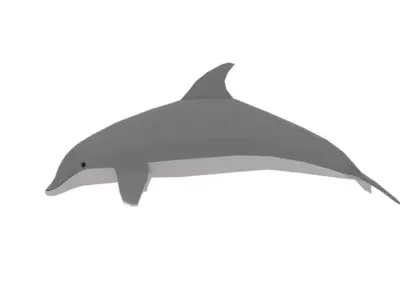 Low Poly Cartoon Dolphin Low-poly 3D model purchase
