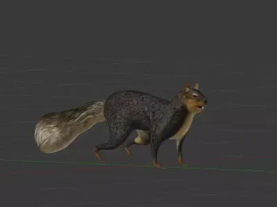 Fox Squirrel Low-poly 3D model