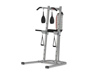 Bowflex BodyTower 3D model