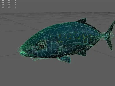 Trevally Low-poly 3D model 4