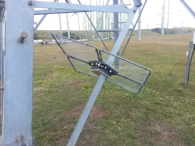 Snake Protector Free 3D model