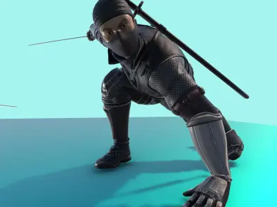 Ninja Fighter Animated With 54 Animations Game Ready Low-poly 3D model