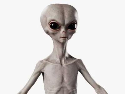  Humanoid Grey Alien - Rigged 
