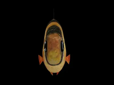 tiger barb Low-poly 3D model
